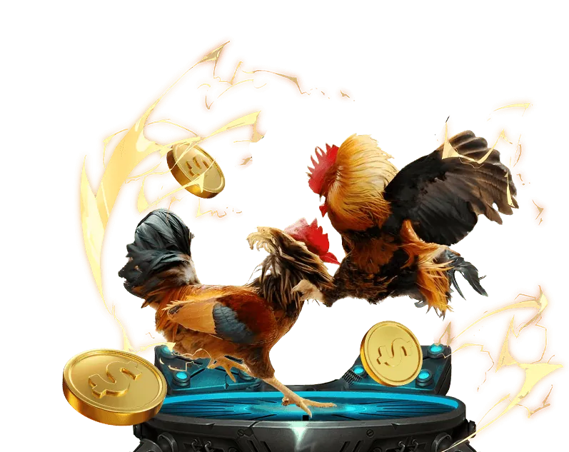 Đá Gà keo nha cai 5. net